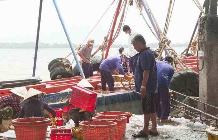 Đẩy mạnh công tác chống khai thác thủy sản bất hợp pháp kết hợp bảo vệ an toàn cho người và phương tiện khai thác thủy sản (15-03-2022)